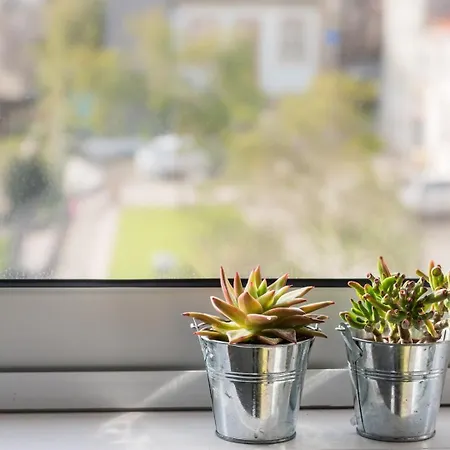 Guestready - Assuntos De Recreio * 波尔图